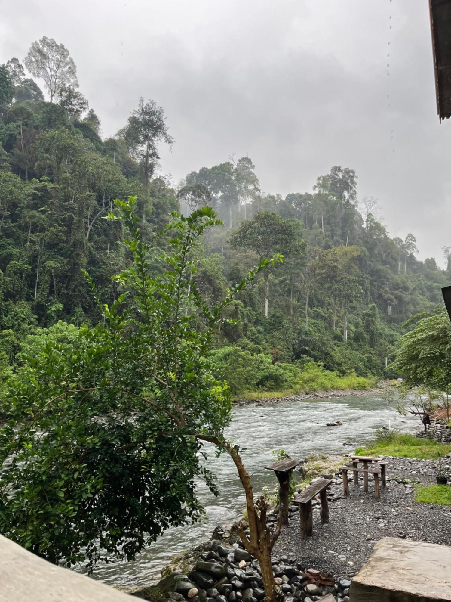Ridho'S Homestay & Jungle Trekking Bukit Lawang Exterior foto