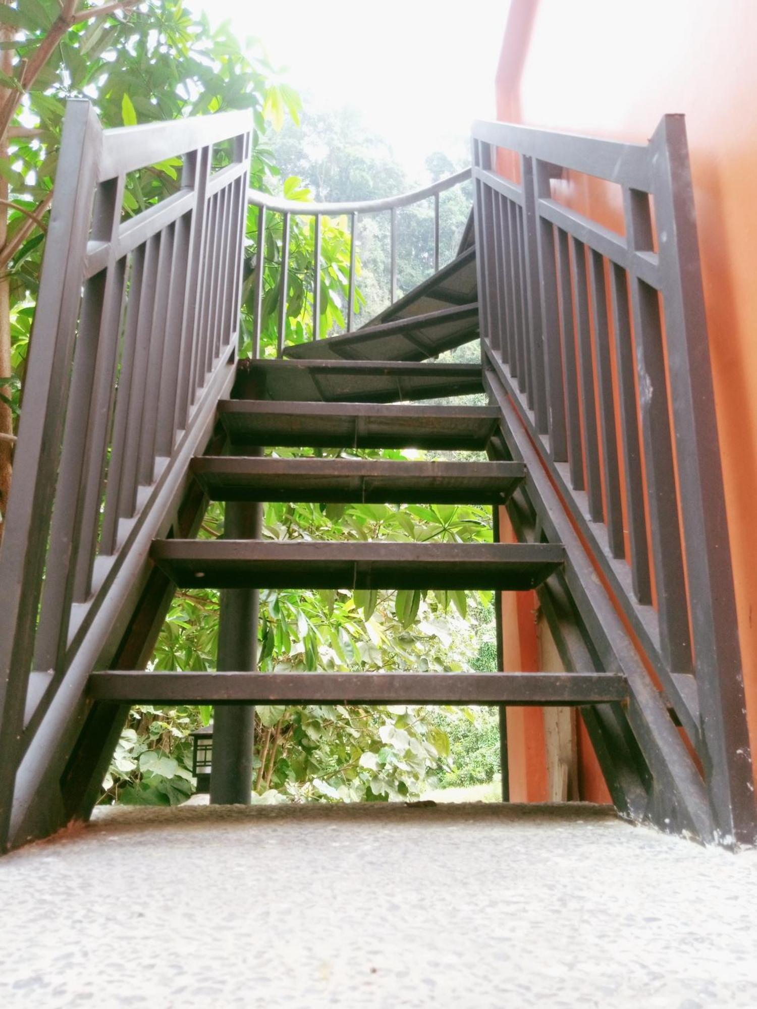 Ridho'S Homestay & Jungle Trekking Bukit Lawang Exterior foto
