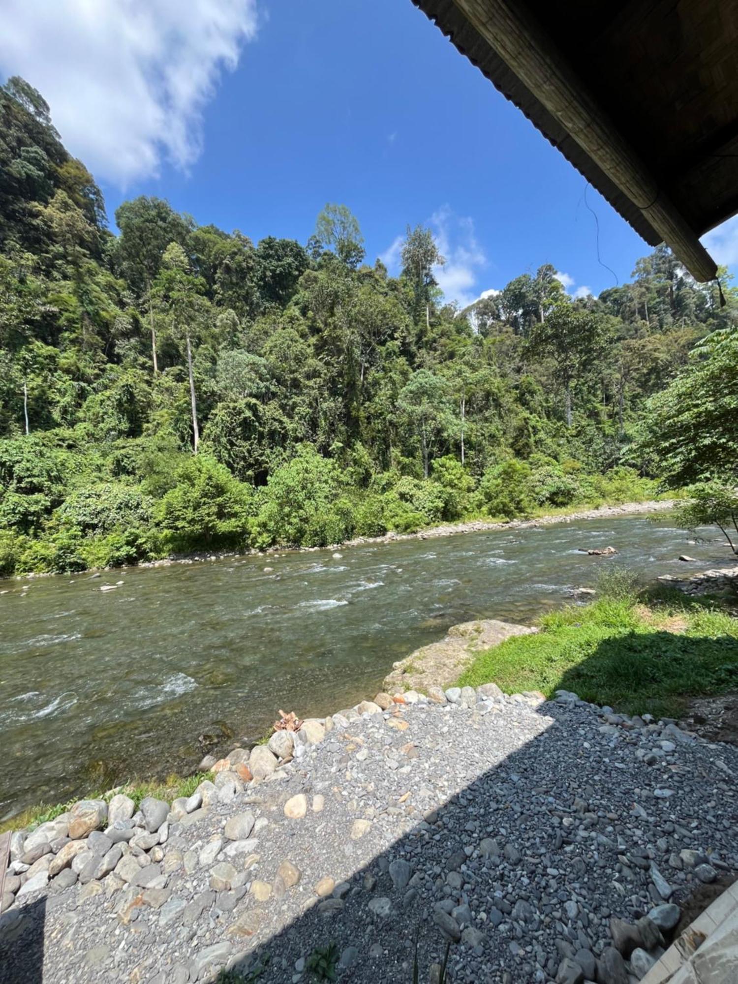 Ridho'S Homestay & Jungle Trekking Bukit Lawang Exterior foto